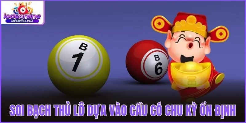 Soi bạch thủ lô dựa vào cầu có chu kỳ ổn định