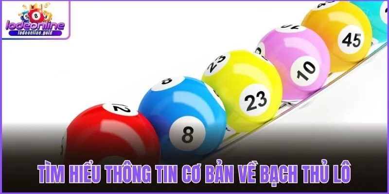 Tìm hiểu thông tin cơ bản về bạch thủ lô